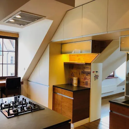 Pola's Loft In Old Town * Warsaw